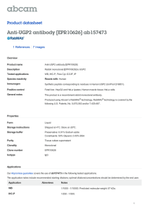 Anti-UGP2 antibody [EPR10626] ab157473 Product datasheet 1 References 7 Images