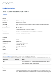 Anti-SGLT1 antibody ab140918 Product datasheet 2 Images Overview