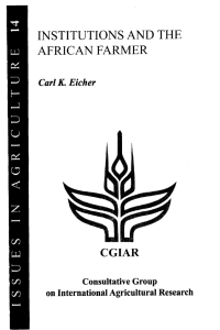 INSTITUTIONS  AND  THE AFRICAN  FARMER CGIAR Carl K. Either
