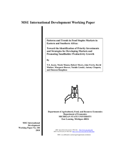 MSU International Development Working Paper