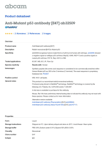 Anti-Mutant p53 antibody [E47] ab32509 Product datasheet 2 Abreviews 2 Images