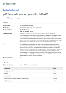 p53 Human Immunocapture Kit ab154470 Product datasheet 1 References 3 Images