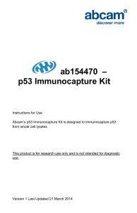 ab154470  – p53 Immunocapture Kit