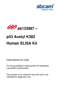 ab133987 – p53 Acetyl K382 Human ELISA Kit