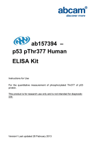 ab157394  – p53 pThr377 Human ELISA Kit