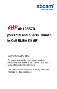 ab128570 p53 Total and pSer46  Human In-Cell ELISA Kit (IR) Instructions