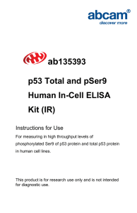 ab 135393 p53 Total and pSer9 Human In-Cell ELISA
