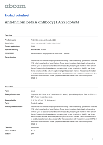 Anti-Inhibin beta A antibody [1.A.22] ab4241 Product datasheet Overview Product name