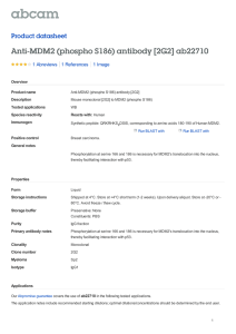 Anti-MDM2 (phospho S186) antibody [2G2] ab22710 Product datasheet 1 Abreviews 1 Image