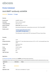 Anti-BMP7 antibody ab54904 Product datasheet 1 Abreviews 3 Images