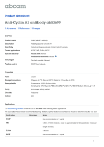 Anti-Cyclin A1 antibody ab53699 Product datasheet 1 Abreviews 3 Images