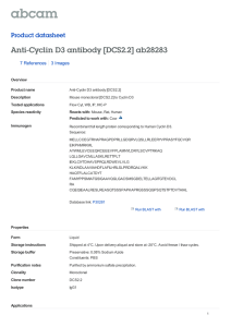 Anti-Cyclin D3 antibody [DCS2.2] ab28283 Product datasheet 7 References 3 Images