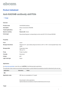 Anti-RAD54B antibody ab57036 Product datasheet 1 Image Overview
