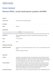 Human PHD2 / prolyl hydroxylase peptide ab94889 Product datasheet Overview Product name