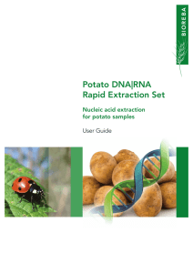 Potato DNA|RNA Rapid Extraction Set Nucleic acid extraction for potato samples