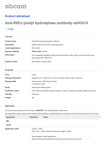 Anti-PHD1/prolyl hydroxylase antibody ab93219 Product datasheet 1 Image Overview