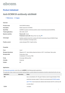Anti-SCNN1B antibody ab28668 Product datasheet 1 References 2 Images