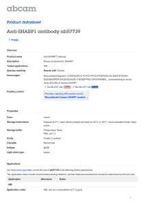 Anti-SHARP1 antibody ab57739 Product datasheet 1 Image Overview