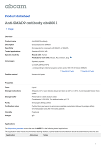 Anti-SMAD9 antibody ab48011 Product datasheet 1 Image Overview