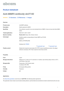 Anti-MMP2 antibody ab37150 Product datasheet 10 Abreviews 4 Images
