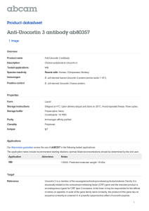 Anti-Urocortin 3 antibody ab80357 Product datasheet 1 Image Overview