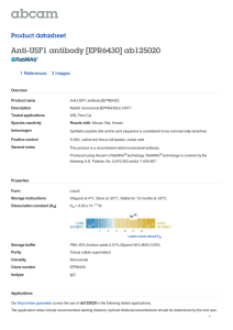Anti-USF1 antibody [EPR6430] ab125020 Product datasheet 1 References 3 Images