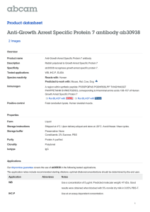 Anti-Growth Arrest Specific Protein 7 antibody ab30938