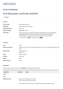 Anti-Kisspeptin antibody ab55384 Product datasheet 2 Images Overview