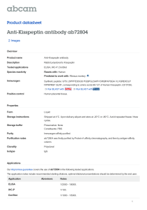 Anti-Kisspeptin antibody ab72804 Product datasheet 2 Images