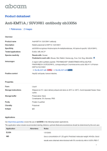 Anti-KMT1A / SUV39H1 antibody ab33056 Product datasheet 1 References 2 Images