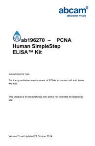 ab196270  –    PCNA Human SimpleStep ELISA™ Kit