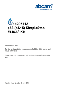 ab205712 p53 (pS15) SimpleStep ELISA Kit