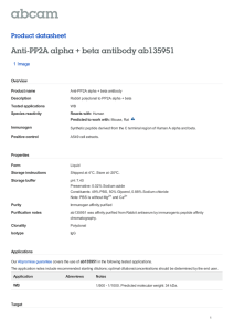 Anti-PP2A alpha + beta antibody ab135951 Product datasheet 1 Image