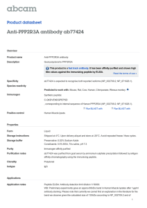 Anti-PPP2R3A antibody ab77424 Product datasheet