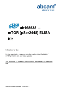 ab168538  – mTOR (pSer2448) ELISA Kit