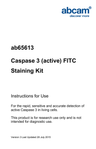 ab65613 Caspase 3 (active) FITC Staining Kit Instructions for Use