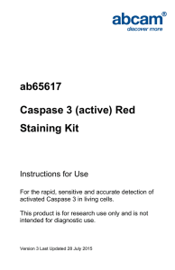 ab65617 Caspase 3 (active) Red Staining Kit Instructions for Use