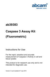 ab39383 Caspase 3 Assay Kit (Fluorometric) Instructions for Use