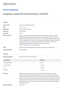 Caspase 6 Assay Kit (Fluorometric) ab39707 Product datasheet Overview Product name