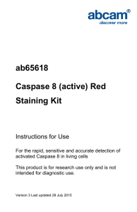 ab65618 Caspase 8 (active) Red Staining Kit Instructions for Use