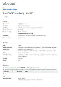 Anti-DOCK1 antibody ab92710 Product datasheet 1 Image Overview
