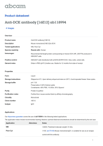 Anti-DCK antibody [16E12] ab118994 Product datasheet 4 Images Overview
