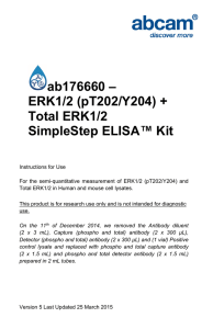 ab176660 – ERK1/2 (pT202/Y204) + Total ERK1/2 SimpleStep ELISA™ Kit