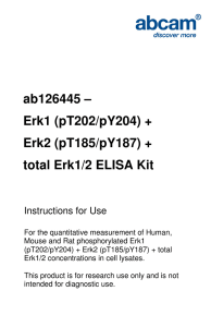ab126445 – Erk1 (pT202/pY204) + Erk2 (pT185/pY187) + total Erk1/2 ELISA Kit