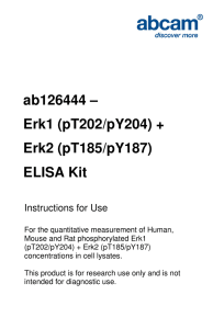 ab126444 – Erk1 (pT202/pY204) + Erk2 (pT185/pY187) ELISA Kit