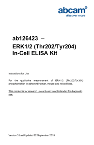 ab126423  – ERK1/2 (Thr202/Tyr204) In-Cell ELISA Kit