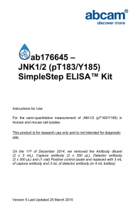 ab176645 – JNK1/2 (pT183/Y185) SimpleStep ELISA™ Kit