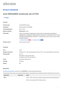 Anti-NKIAMRE antibody ab121954 Product datasheet 2 Images Overview