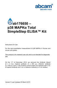 ab176650 – p38 MAPKα Total SimpleStep ELISA™ Kit