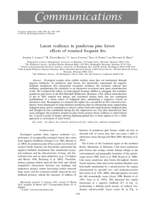 C ommunications Latent resilience in ponderosa pine forest: effects of resumed frequent fire